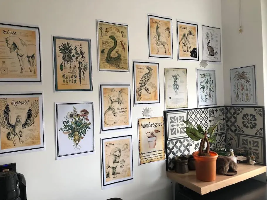 Maison Harry Potter Pour 6 Personnes En Centre Ville Montauban 0*,