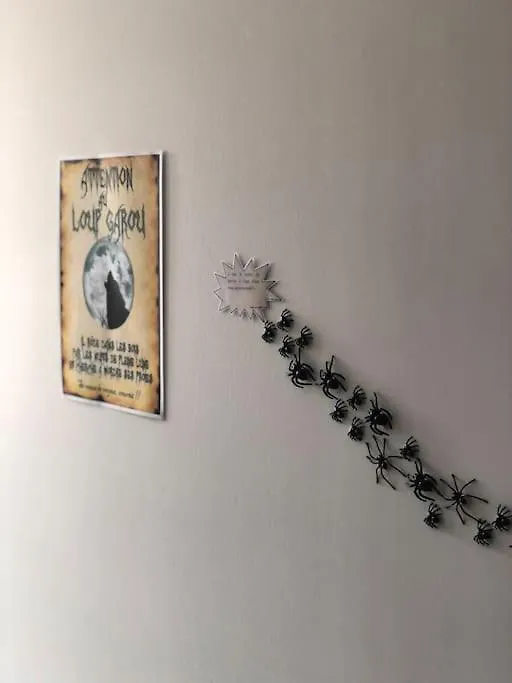 Maison Harry Potter Pour 6 Personnes En Centre Ville Montauban