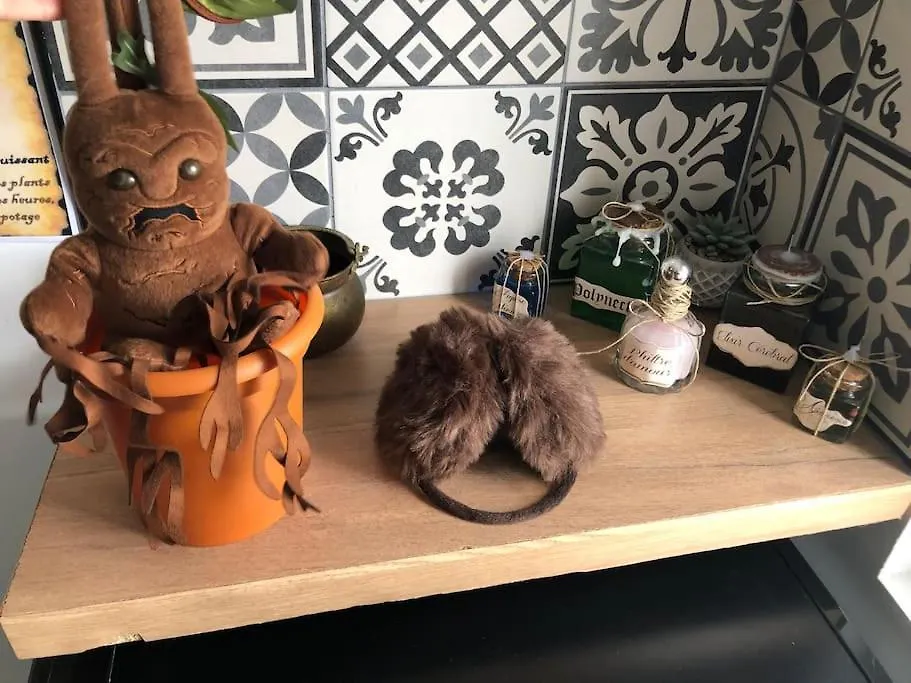 Maison Harry Potter Pour 6 Personnes En Centre Ville Montauban Apartamento