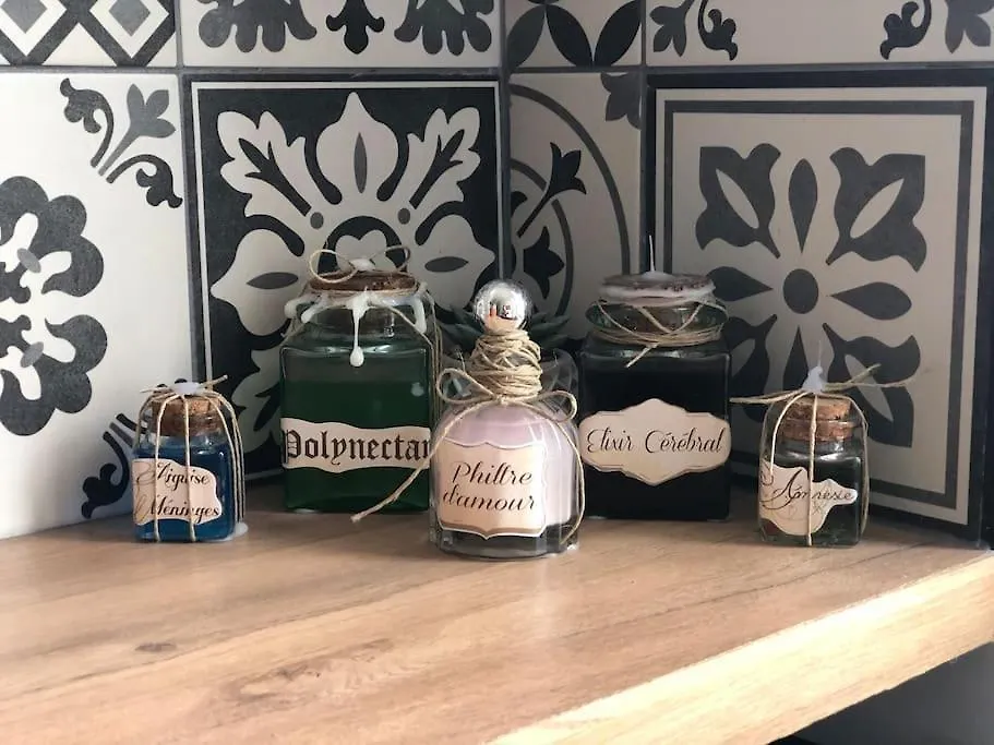 Maison Harry Potter Pour 6 Personnes En Centre Ville Montauban 0*,  França